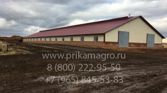 Готовая ферма КРС под ключ на 200 голов