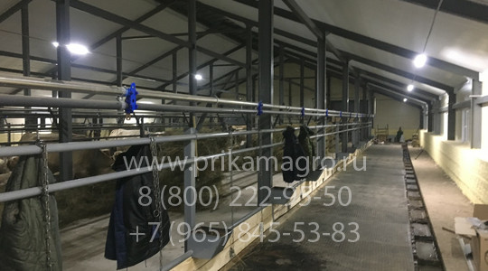 Готовая ферма крс на 200 голов
