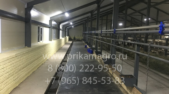 Готовая ферма крс на 200 голов